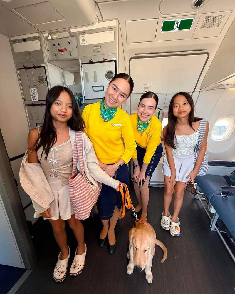 A FurExpress pet welcomed by cabin crew